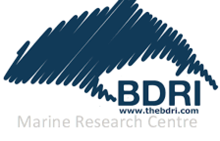 BDRI, Bottlenose Dolphin Research Institute