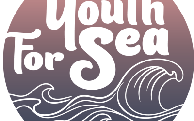 logo_YFS_modif logo_YFS_modif