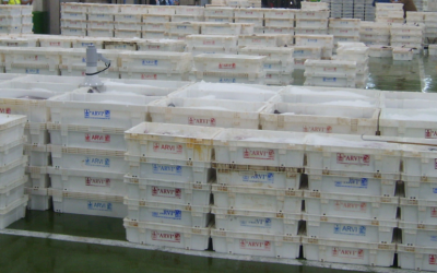 imagen_2024-10-28_140649404 imagen_2024-10-28_140649404